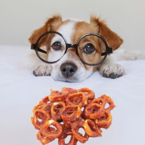 Hilton Chicken & Fish Rings Dog Treats - 500g 🐶🐟🍗