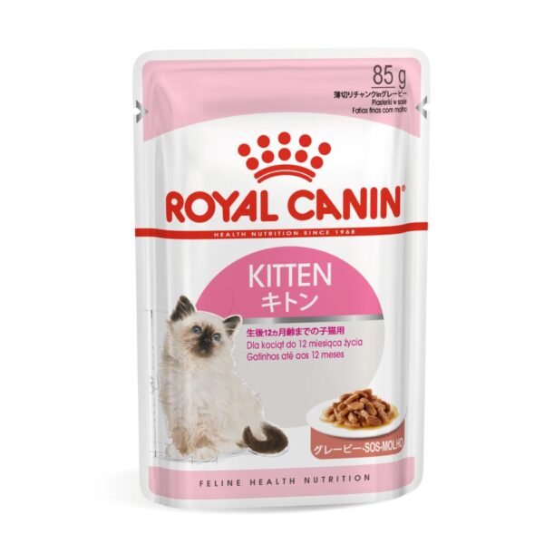 Royal Canin Kitten in Jelly - Wet Cat Food